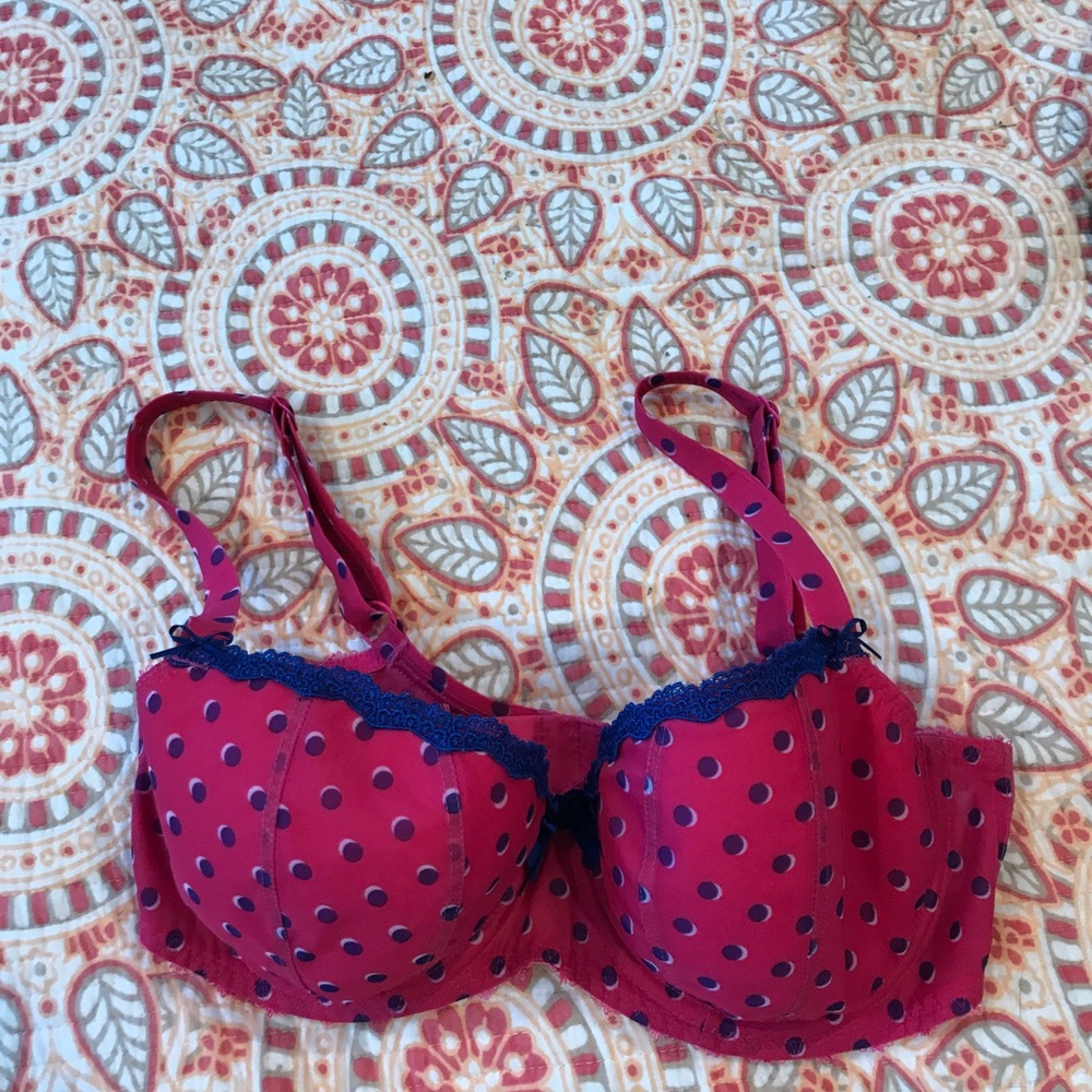 Freya lined pink and blue polka dot bra.